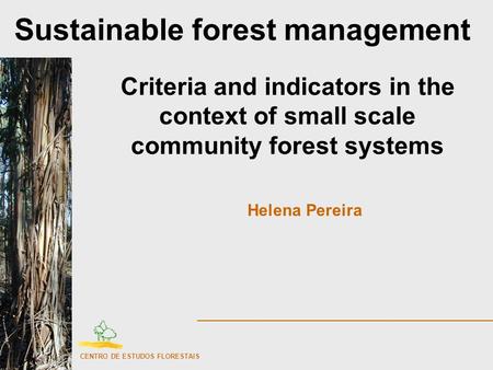 Sustainable forest management