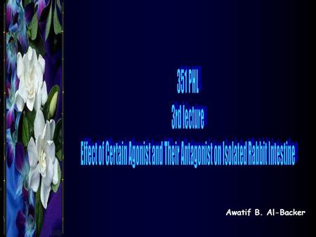 Awatif B. Al-Backer. Stimulants & their Blockers 1-Drugs acting on Nn R Agonist -Dil. Nicotine (0.01%, 0.1ml) -MOA: Dil. Nicotine stimulates Gs protein.