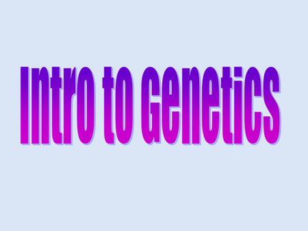 Intro to Genetics.