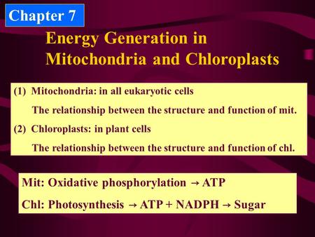 Energy Generation in Mitochondria and Chloroplasts