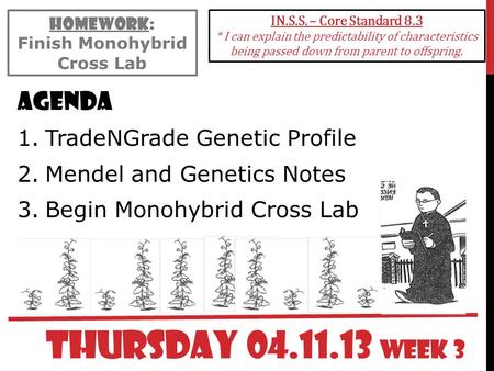 Finish Monohybrid Cross Lab