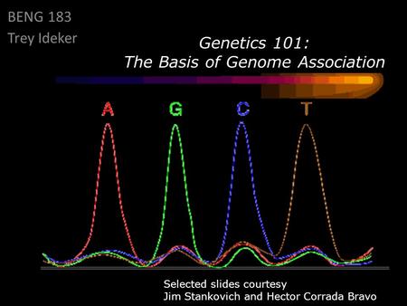 Genetics 101: The Basis of Genome Association