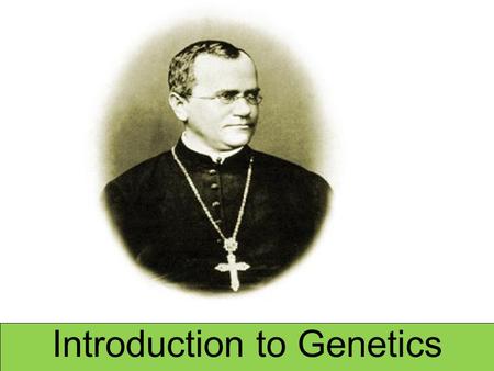 Introduction to Genetics