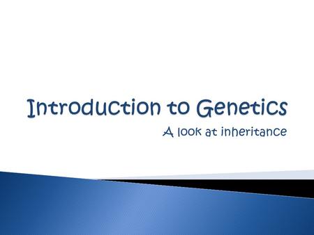 Introduction to Genetics