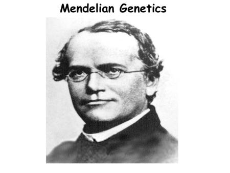 Mendelian Genetics.