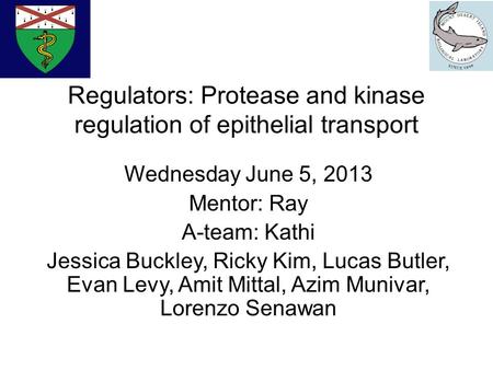 Regulators: Protease and kinase regulation of epithelial transport Wednesday June 5, 2013 Mentor: Ray A-team: Kathi Jessica Buckley, Ricky Kim, Lucas Butler,