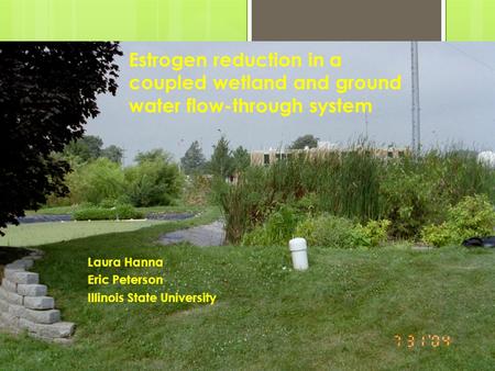 Estrogen reduction in a coupled wetland and ground water flow-through system Laura Hanna Eric Peterson Illinois State University.