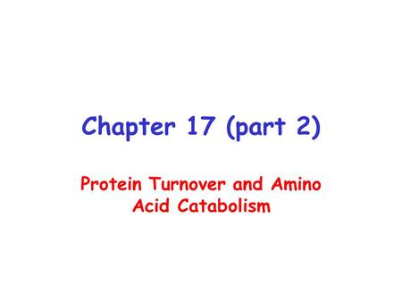 Protein Turnover and Amino Acid Catabolism