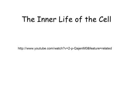 The Inner Life of the Cell