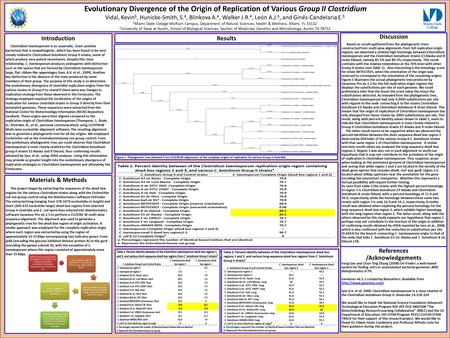 Create 3 different phylogenetic trees from the alignments