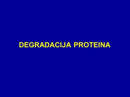 DEGRADACIJA PROTEINA.