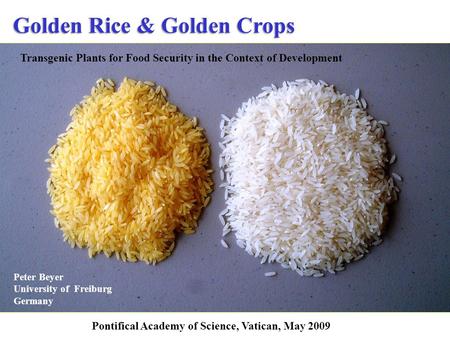 Golden Rice & Golden Crops Peter Beyer University of Freiburg Germany Transgenic Plants for Food Security in the Context of Development Pontifical Academy.