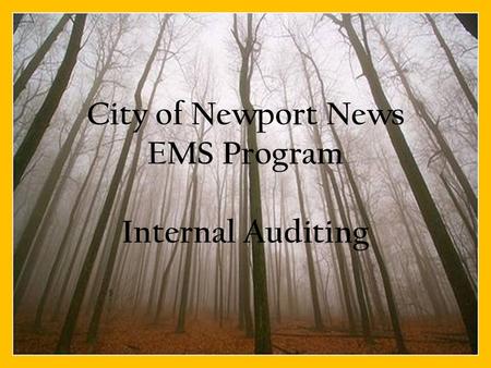 City of Newport News EMS Program Internal Auditing.