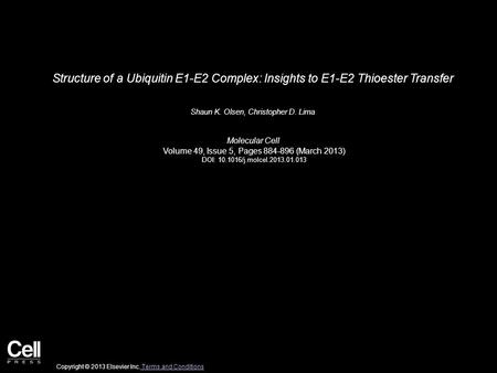 Structure of a Ubiquitin E1-E2 Complex: Insights to E1-E2 Thioester Transfer Shaun K. Olsen, Christopher D. Lima Molecular Cell Volume 49, Issue 5, Pages.