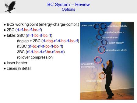 BC System – Review Options ● BC2 working point (energy-charge-compr.) ● 2BC (rf-rf-bc-rf-bc-rf) ● table: 2BC (rf-rf-bc-rf-bc-rf) dogleg + 2BC (rf-dog-rf-rf-bc-rf-bc-rf)