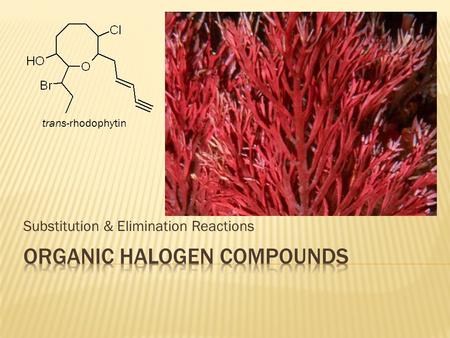 Substitution & Elimination Reactions trans-rhodophytin.