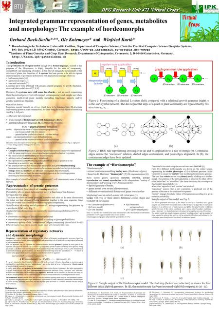 Integrated grammar representation of genes, metabolites and morphology: The example of hordeomorphs Gerhard Buck-Sorlin*, **, Ole Kniemeyer* and Winfried.