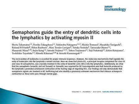 Play movie  Highly professional antigen presenting cells  DC reside in the peripheral tissues  Upon exposure to antigen they migrate to the lymphoid.