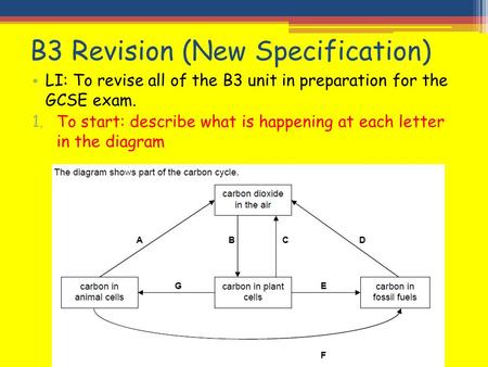 B3 Revision (New Specification)