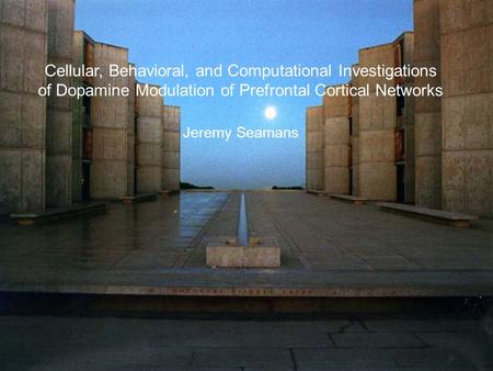 Cellular, Behavioral, and Computational Investigations of Dopamine Modulation of Prefrontal Cortical Networks Jeremy Seamans.