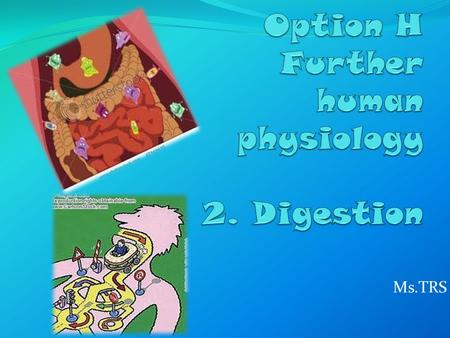 Ms.TRS. H2.1 Gland Secretions into the alimentary canal Gland location Gland and digestive juiceMain enzymes in the secretion MouthSalivary gland - SalivaSalivary.