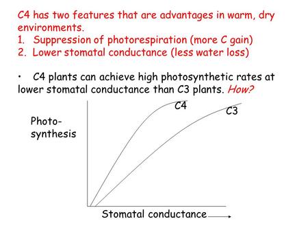 C4 has two features that are advantages in warm, dry