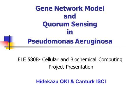 Gene Network Model and Quorum Sensing in Pseudomonas Aeruginosa