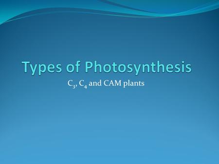 C 3, C 4 and CAM plants. Alternative Methods of Carbon Fixation Rubisco – the double agent! Normally rubisco adds CO 2 to RuBP but when O 2 is very plentiful.