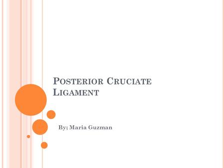 P OSTERIOR C RUCIATE L IGAMENT By; Maria Guzman. T HE P OSTERIOR C RUCIATE L IGAMENTS (PCL) Is one of a pair of ligaments that are found in the middle.