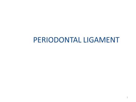 PERIODONTAL LIGAMENT.