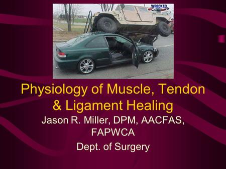 Physiology of Muscle, Tendon & Ligament Healing