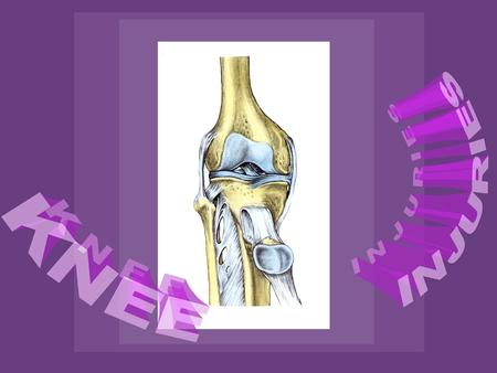 KNEE INJURIES Review Gross and Functional Anatomy.