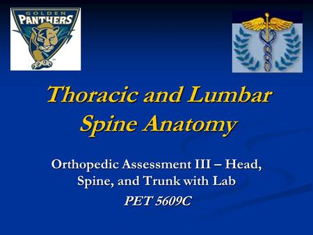 Thoracic and Lumbar Spine Anatomy