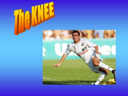 The KNEE.