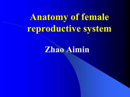 Anatomy of female reproductive system