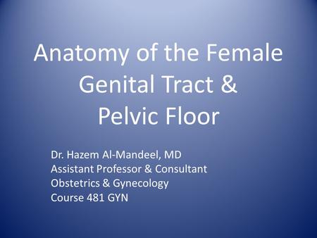 Anatomy of the Female Genital Tract & Pelvic Floor