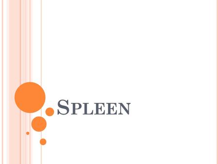 Spleen.