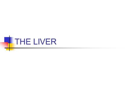 THE LIVER.