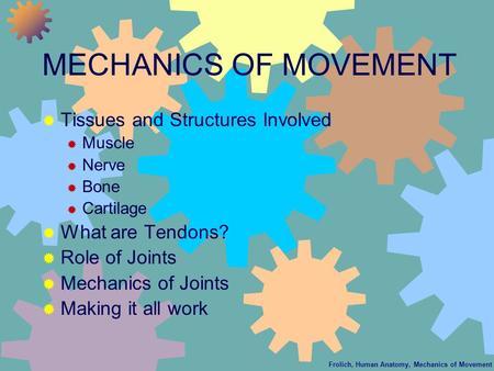 Frolich, Human Anatomy, Mechanics of Movement MECHANICS OF MOVEMENT  Tissues and Structures Involved  Muscle  Nerve  Bone  Cartilage  What are Tendons?