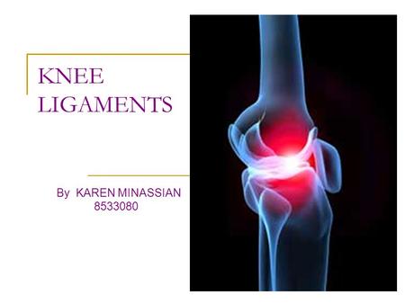 KNEE LIGAMENTS By KAREN MINASSIAN 8533080.