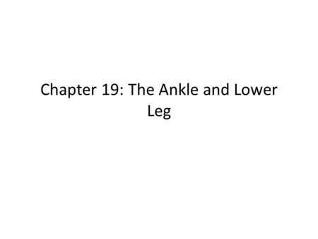 Chapter 19: The Ankle and Lower Leg