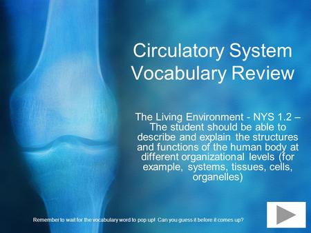 Circulatory System Vocabulary Review The Living Environment - NYS 1.2 – The student should be able to describe and explain the structures and functions.