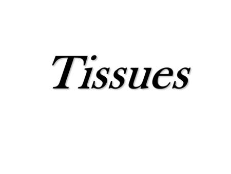 Tissues.