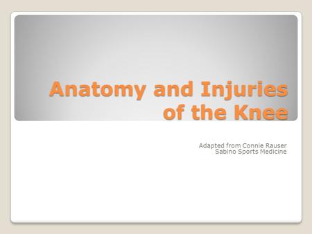 Anatomy and Injuries of the Knee