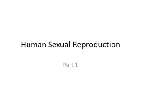 Human Sexual Reproduction