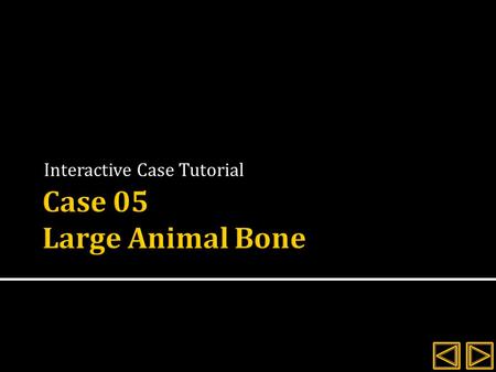 Interactive Case Tutorial.  Review the history and signalment for the client  Evaluate the radiographs provided  Explore the interactive images and.