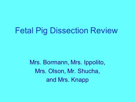 Fetal Pig Dissection Review