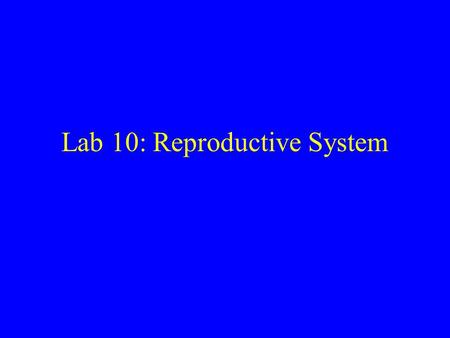 Lab 10: Reproductive System