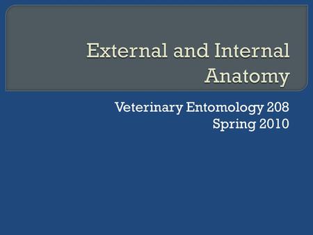 Veterinary Entomology 208 Spring 2010.  Today we will be using the grasshopper as a model insect: 1. Work in pairs 2. Read through the handout on external.