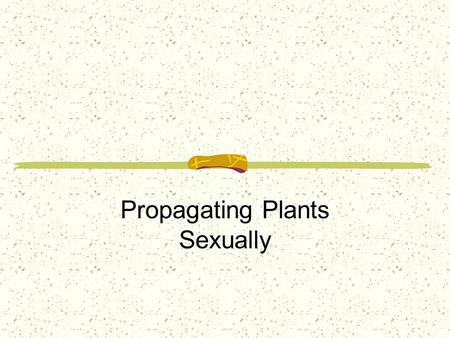 Propagating Plants Sexually